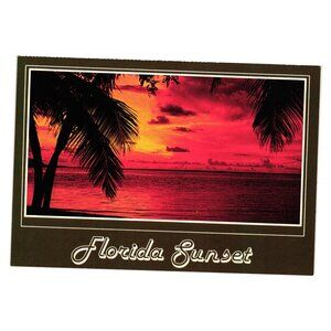 Vintage Florida Sunset Postcard Tropical Palm Trees Vacation Night Light Beach